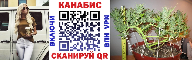 МЕФ Усть-Джегута