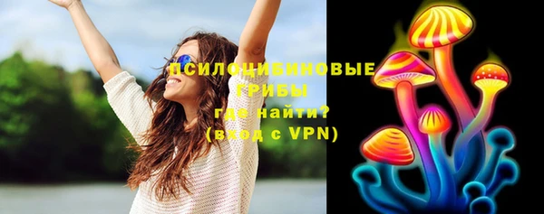 спайс Арсеньев