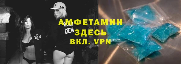 шишки Армянск