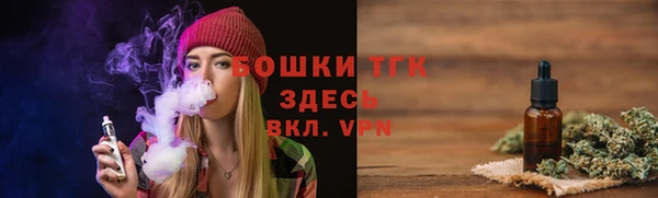 Альфа ПВП Аркадак