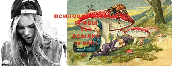 шишки Армянск