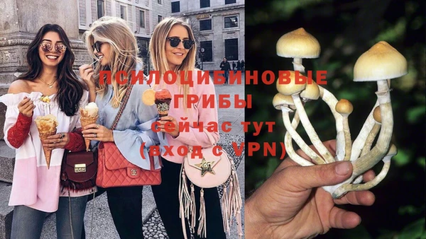 Альфа ПВП Аркадак