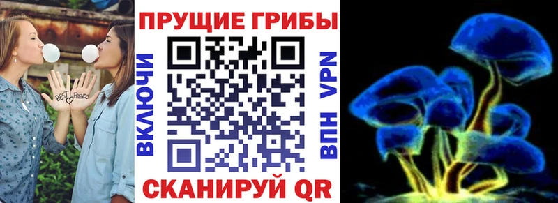 наркошоп Усть-Джегута Псилоцибиновые грибы мицелий